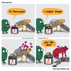 larstheyeti:  this is basically how Gallbladder can cause pancreatitis