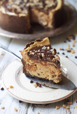 do-not-touch-my-food:  Peanut Butter Mousse Torte  nom