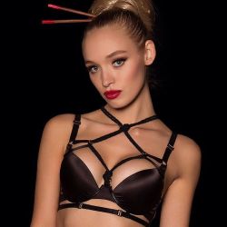 agashixchristina:  Dying for the @honeybirdette Shibari Bra!!!