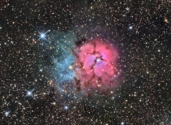 just–space:  The Trifid Nebula, M20  js 