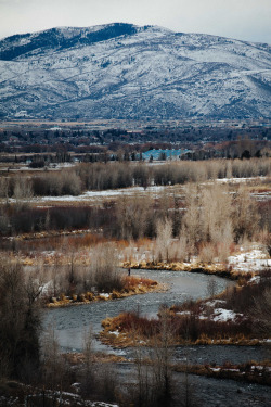 midwest-alaskan:  Wow. This looks like home.