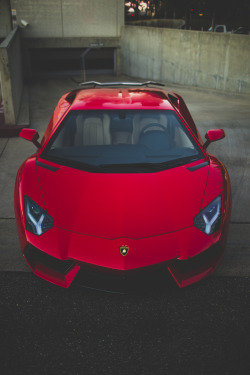 luxury-addictions:  follow for more luxury at luxury-addictions