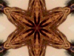 My Kaleidoscope photo from Webcam Toy ☺