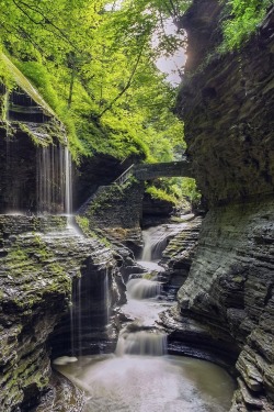 porcvpine:  Rainbow Falls | Photosequence 