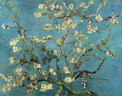 m-marey:  Vincent Van Gogh “Flowering almond branch”  San