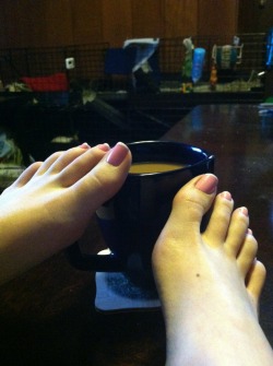 ohmandy56:  Coffee and guinea pig stalking <3 Good morning!