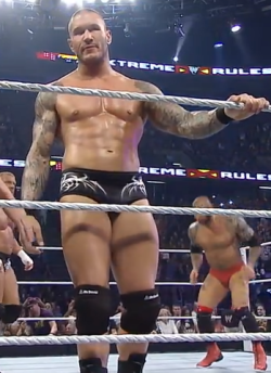 sexy wrestlers