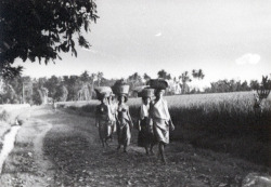 Balinese women, by Rosa Covarrubias, via UDLAP Bibliotecas