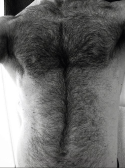 Fur, beards, and men.