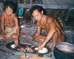   Mentawai, by Tom Schenau  Eating maniok mixed with various