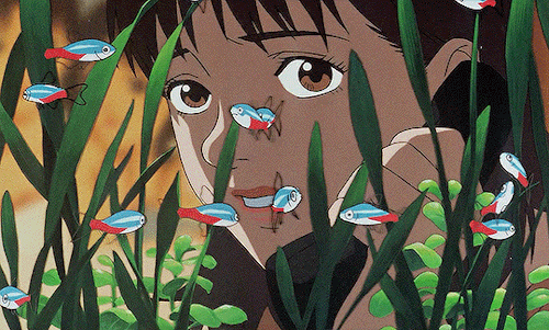 animationsource:No, I’m the real thing.PERFECT BLUE (1997)dir.
