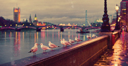 London on @weheartit.com - http://whrt.it/18oQpJG