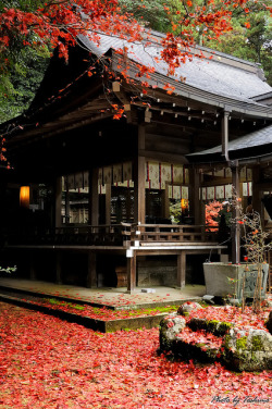 nakojin:  Red Carpet (赤絨毯) by Toshimo1123 on Flickr. 