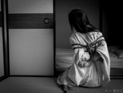 kinokohajime:I tied traditional Japanese shibari.model Daniela