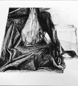 I decided to do my final still life completely in pen and I regret