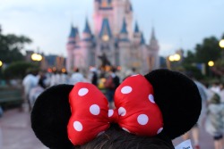 Disney World