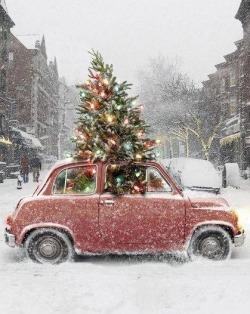 onlythequintessential:  onlythequintessential 