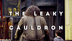 ohsofili:  diagon alley + shops. 