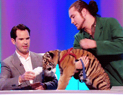 sandandglass:  Jimmy Carr feeding a baby tiger. 