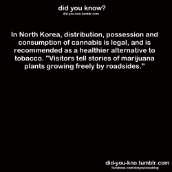 did-you-kno:  Source  I can just see all the american potheads