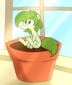 whatsapokemon: Cute little plant horse. “I am groot” @askflowertheplantponi