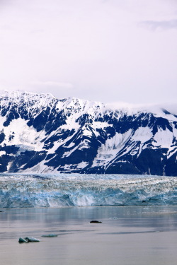 miks-pics:  Hubbard glacier, Alaska 2010