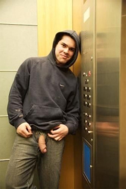 guyspantsdown: Elevator exhib  Hit the stop button, give him