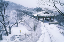 lovesouthkorea:  Lovers enjoy a winter walk through snow-covered