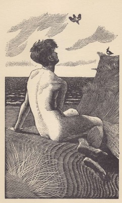 Illustration by C. F. Tunnicliffe from The Lone Swallows and