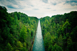 evocates:  Line through the forest by ShadyH on Flickr. 