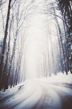 elenamorelli:  { as the snow is falling }