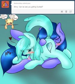 askpervert-cloudchaser:  North: Did You forget about something