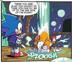 aawesomepenguin:  The Reason why Sonic is thinner today. 