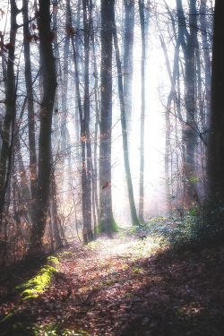 wnderlst:  Inzlingen, Germany | Chris W.