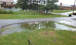 My room and backyard flooded today. Some douche birds were frolicking