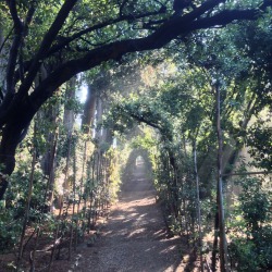 luz-natural:  The tunnels of Boboli (photo Jon Gasca)  love that