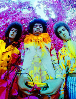 babeimgonnaleaveu:   The Jimi Hendrix Experience photographed