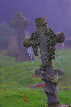 Cambridge Graveyard, England