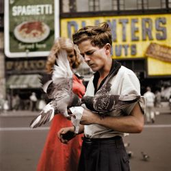 euo:  colorized photo: Pigeon Feeder c.1955  