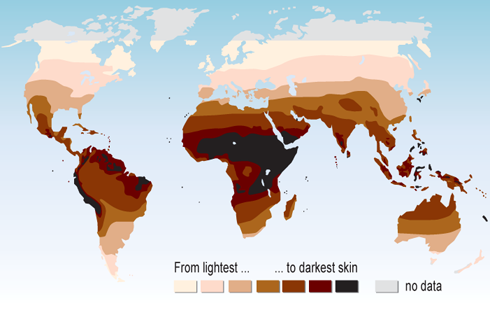 thelonelyscarecrow:  castiels-time-traveler:  nintendocanada:  mapsontheweb:  Map of the World by Natural Skin Color  i’m really dumbfounded that i never realized skin colour is literally just caused by being closer to or farther from the equator and