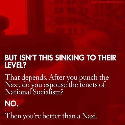 zvaigzdelasas: http://thoughtsonthedead.com/on-the-propriety-of-punching-nazis-an-faq/