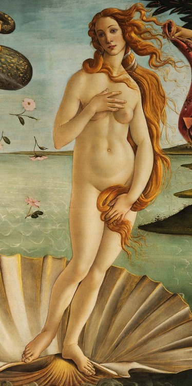 Sandro Botticelli (Florence, 1445-1510) The Birth of Venus,