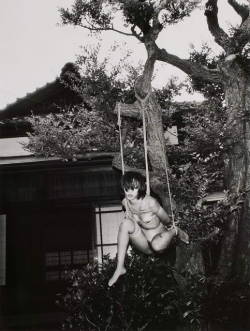 foxesinbreeches:  Untitled by Nobuyoshi Araki, 1997-1999 Also  A nice garden decoration! Bondage and fetish images @  Art of Bondage