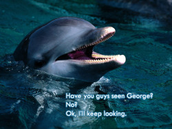 jtotheizzoe:  Dolphins Call Each Other by “Name”!! “Cool”