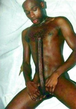 blackgaysociety:  I would love to have him dick me down