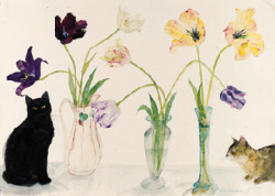 poboh:  Black Cat, Abyssinian Cat and Tulips, Elizabeth Blackadder.