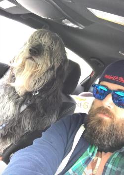 awwww-cute:  This is Ben. He has a beard. And he is human sized.