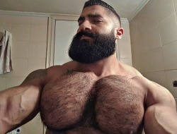 arabfitnessgods:  Meet the Incredible Hercules from Lebanon —-