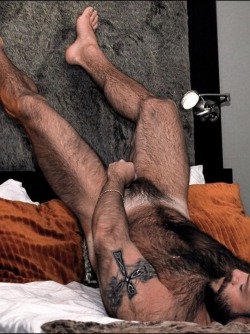 OMG he has one hairy, sexy looking body - WOOF