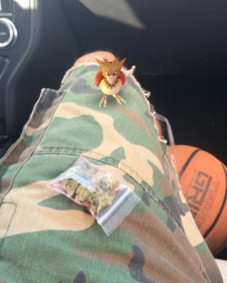 illest:  Spearow tryna steal my weed